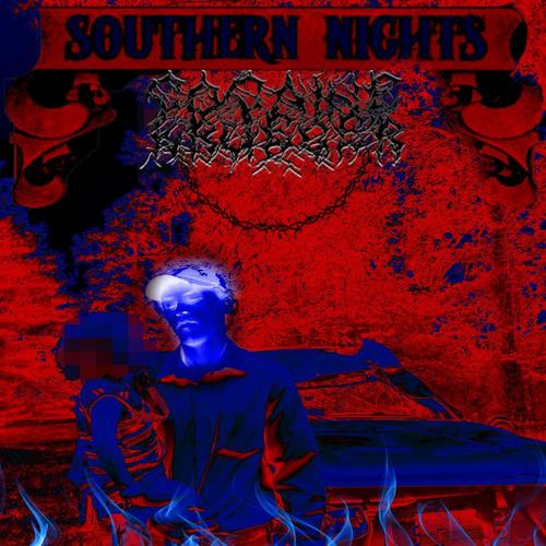 SOUTHERN NIGHTS (feat. Dominus Soul) [Explicit]