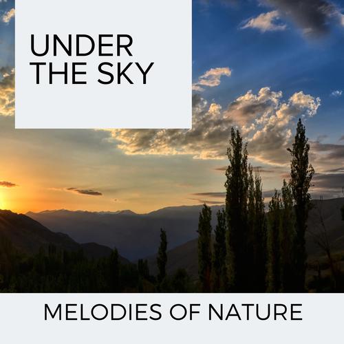 Under the Sky - Melodies of Nature