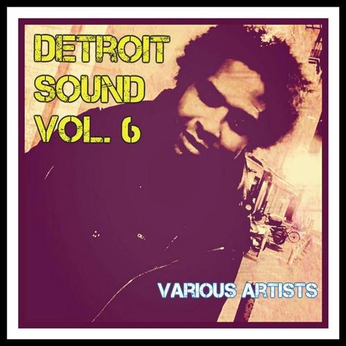 Detroit Sound, Vol. 6