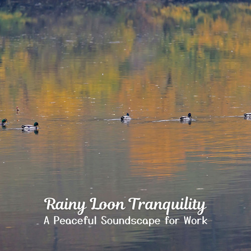 Rainy Loon Tranquility: A Peaceful Soundscape for Work