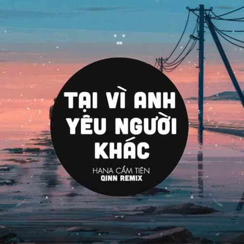 Tại Vì Anh Yêu Người Khác (Qinn Remix)