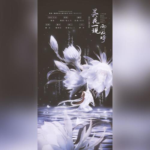 浅风昙花