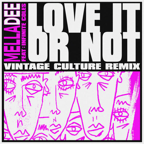 Love It or Not (feat. Infinite Coles) (Vintage Culture Remix) [Explicit]