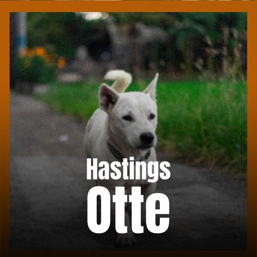 Hastings Otte