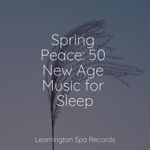 Spring Peace: 50 New Age Music for Sleep