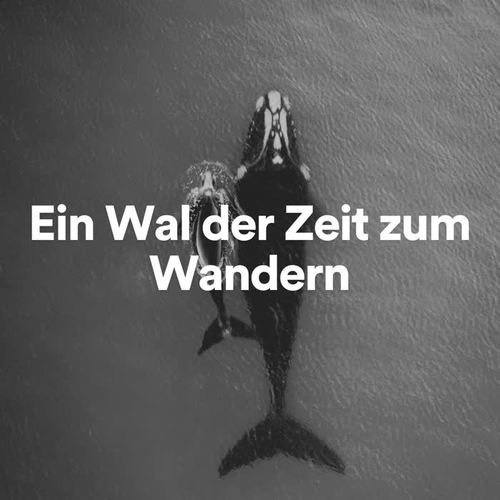 Ein Wal der Zeit zum Wandern