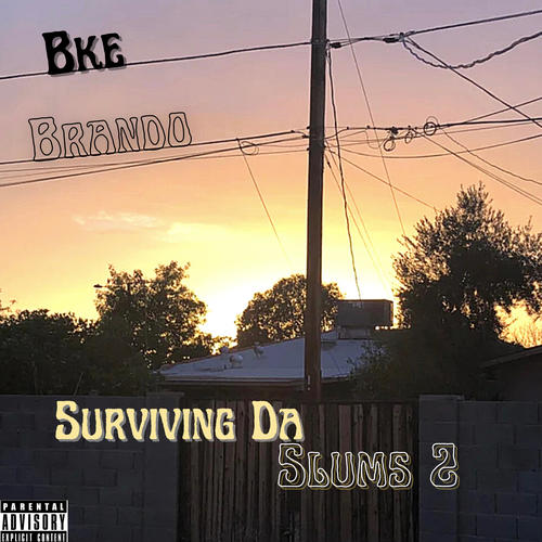 Surviving Da Slums 2 (Explicit)