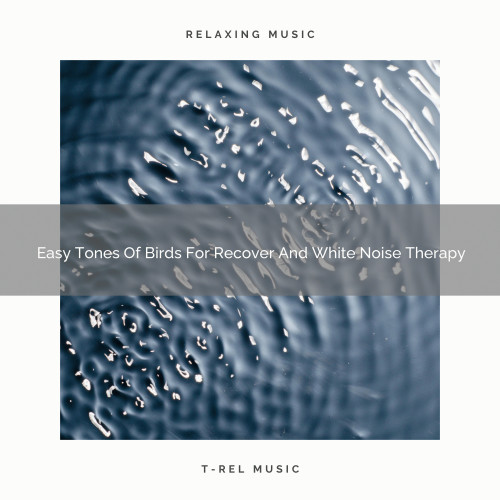 2021 New: Easy Tones Of Birds For Recover And White Noise Therapy