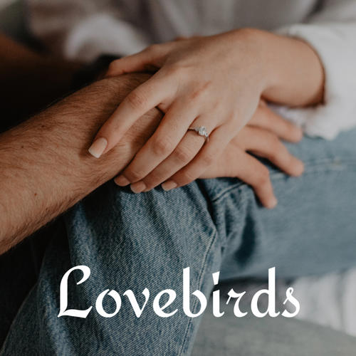 Lovebirds (Explicit)