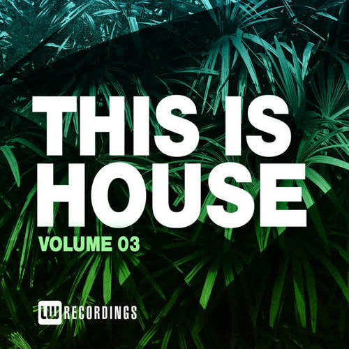 This Is House, Vol. 03