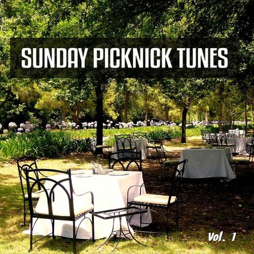 Sunday Picknick Tunes, Vol. 1 (Smooth and Jazzy Weekend Feeling)