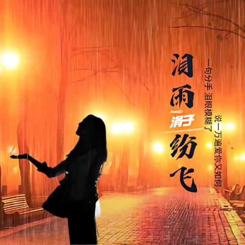 泪雨纷飞（新版）