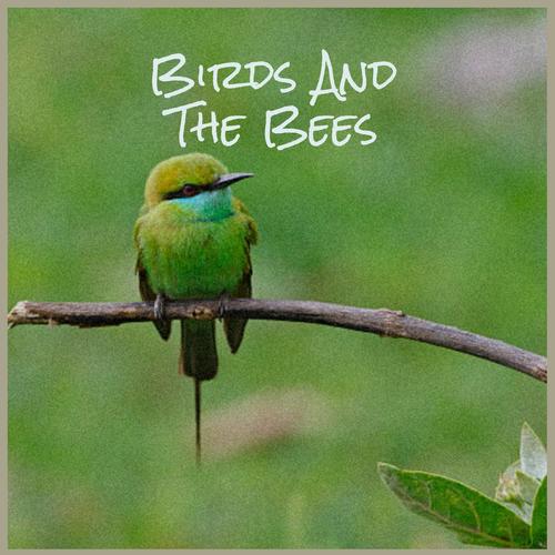 Birds And The Bees