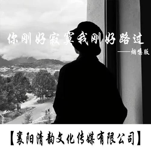 你刚好寂寞我刚好路过（新版）