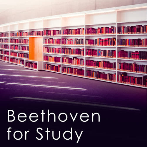 Beethoven for Study