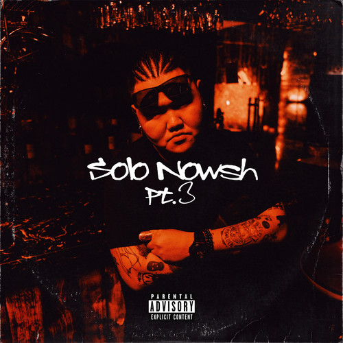 Solo Nowsh Pt.3 (Explicit)