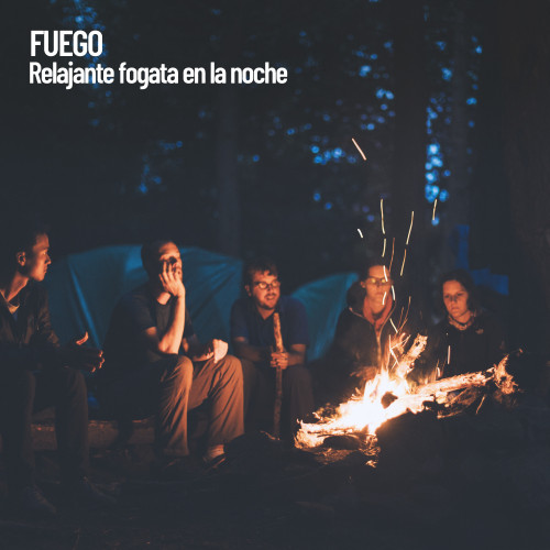 Fuego: Relajante fogata en la noche