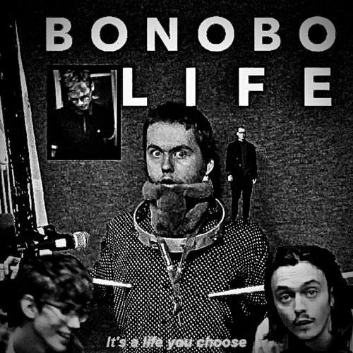 Bonobo Life (feat. Bror & Nils) (Radio Edit)