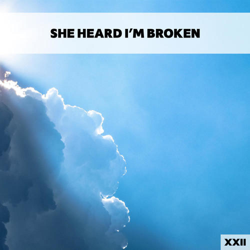 She Heard I'm Broken XXII