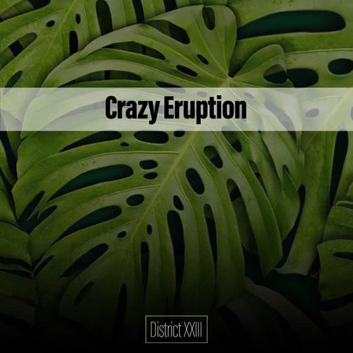 Crazy Eruption District XXIII