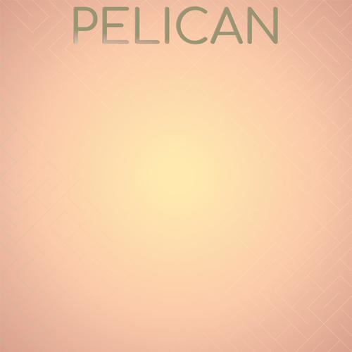 Pelican