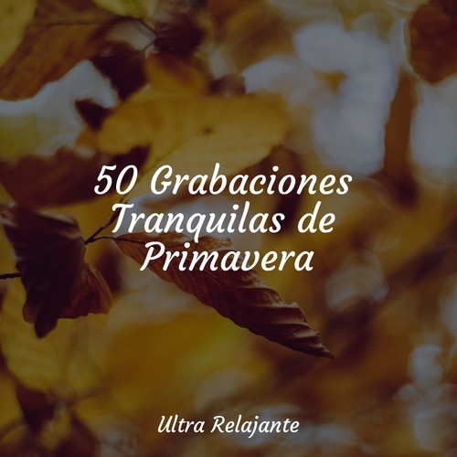 50 Grabaciones Tranquilas de Primavera