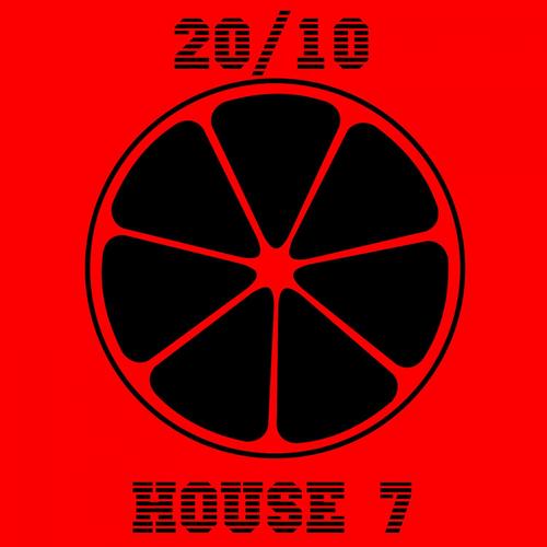 20/10 House, Vol. 7