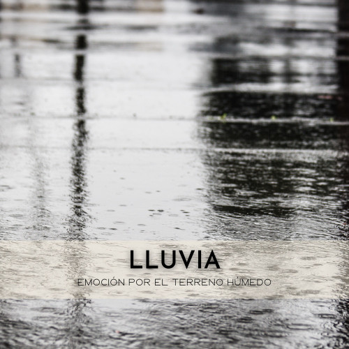 Lluvia: Emoción Por El Terreno Húmedo