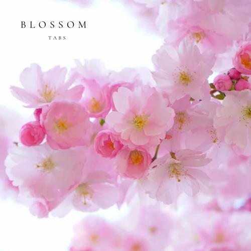 Blossom