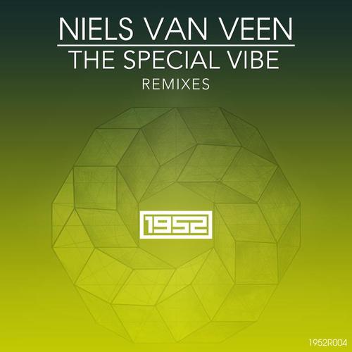 The Special Vibe (Remixes)