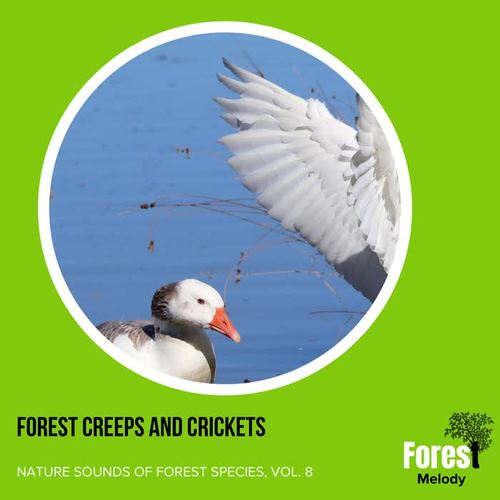 Forest Creeps and Crickets - Nature Sounds of Forest Species, Vol. 8