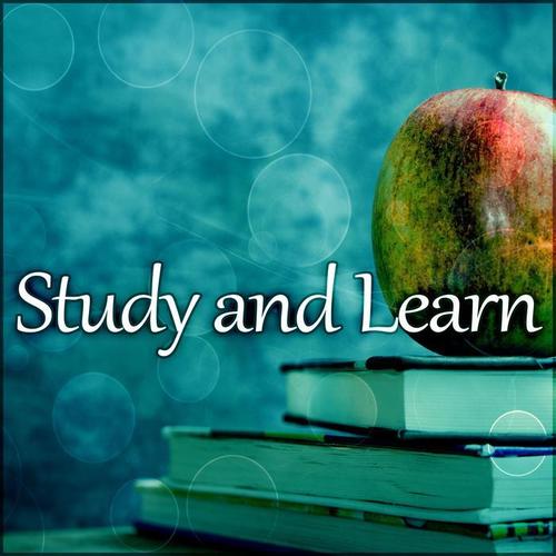 Study and Learn – Calming Music for Study & Reading, Exam Study, Better Focus and Study, Study Sounds, Nature Sounds