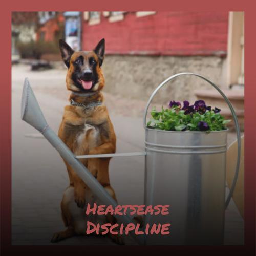 Heartsease Discipline