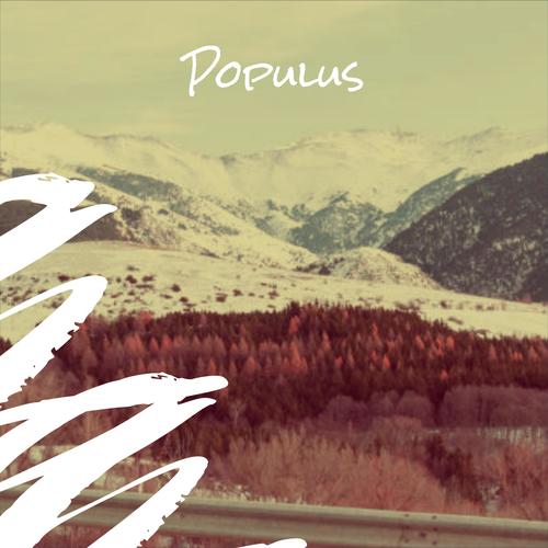 Populus