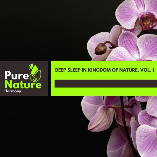 Deep Sleep in Kingdom of Nature, Vol. 1