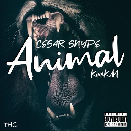 Animal (Explicit)