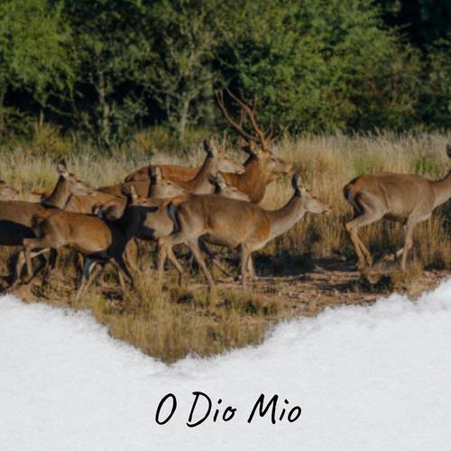 O Dio Mio