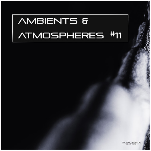 Ambients & Atmospheres, Vol. 11