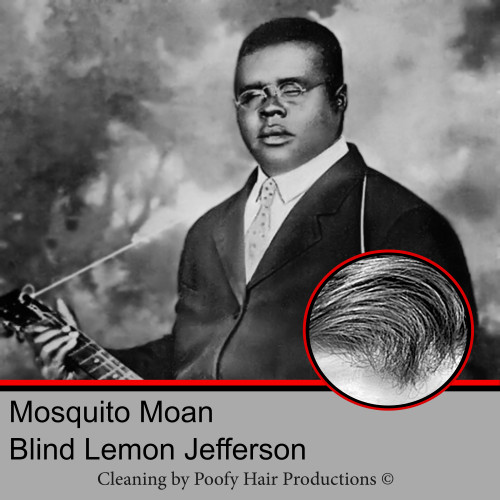 Mosquito Moan