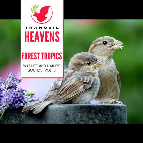 Forest Tropics - Wildlife and Nature Sounds, Vol. 8