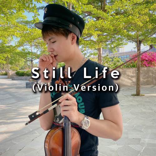 Still Life (Violin Version)