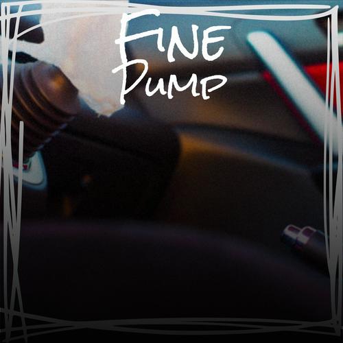 Fine Pump