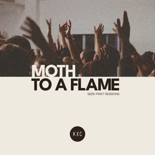 Moth to a Flame (Live)