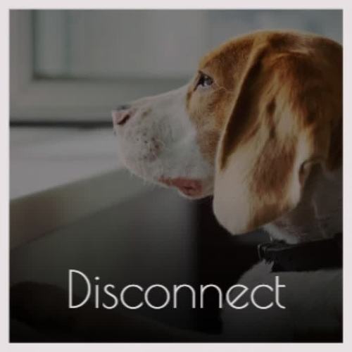 Disconnect