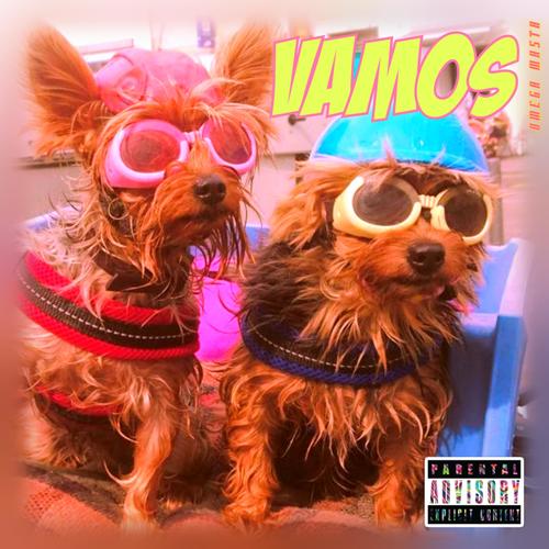 VAMOS (Explicit)