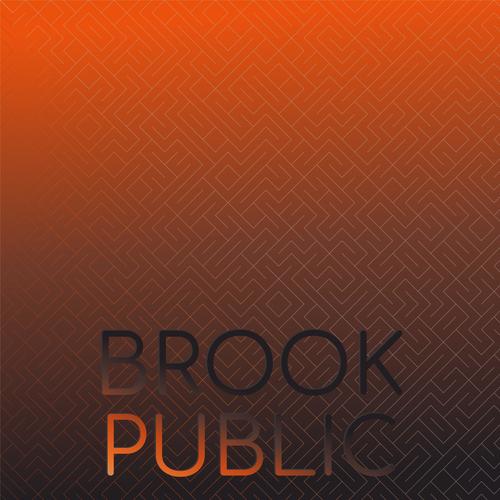 Brook Public