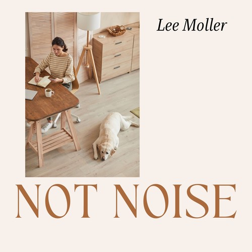 Not Noise