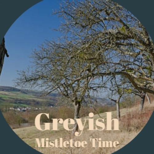 Greyish Mistletoe Time