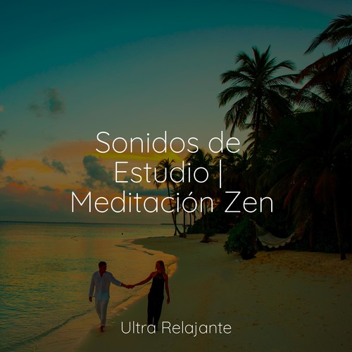 Sonidos de Estudio | Meditación Zen