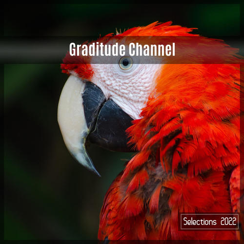 Graditude Channel Selections 2022